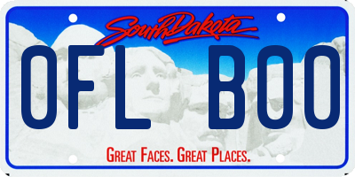 SD license plate 0FLB00