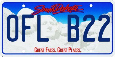 SD license plate 0FLB22