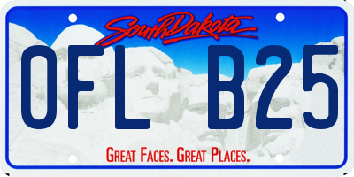 SD license plate 0FLB25