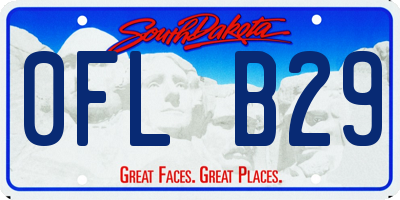 SD license plate 0FLB29