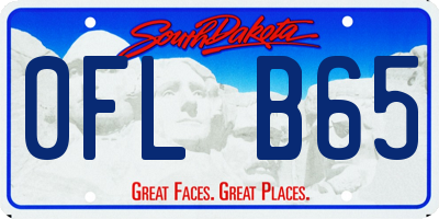 SD license plate 0FLB65