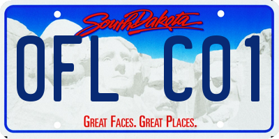 SD license plate 0FLC01