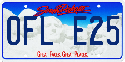 SD license plate 0FLE25