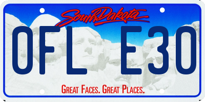 SD license plate 0FLE30