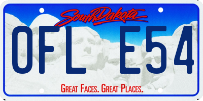 SD license plate 0FLE54