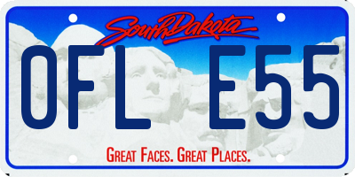 SD license plate 0FLE55