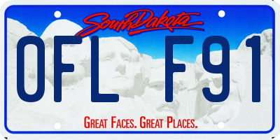 SD license plate 0FLF91