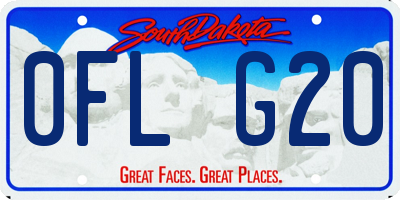 SD license plate 0FLG20