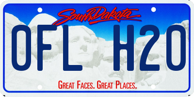 SD license plate 0FLH20