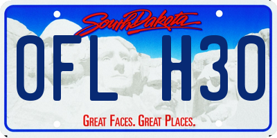 SD license plate 0FLH30