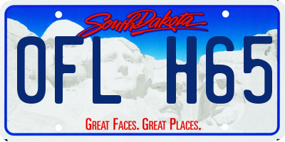SD license plate 0FLH65