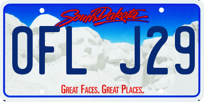 SD license plate 0FLJ29