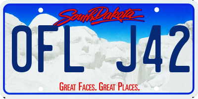 SD license plate 0FLJ42