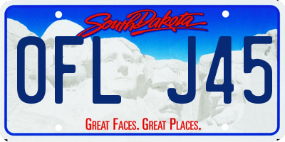 SD license plate 0FLJ45