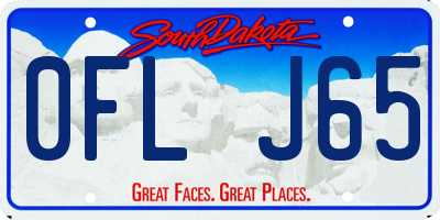 SD license plate 0FLJ65