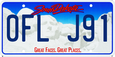 SD license plate 0FLJ91