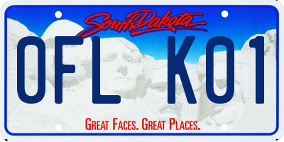 SD license plate 0FLK01