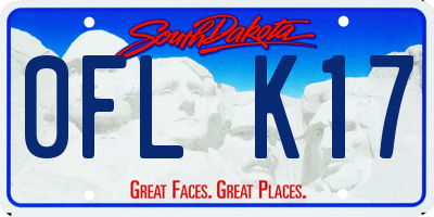 SD license plate 0FLK17