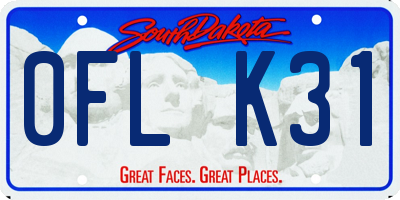 SD license plate 0FLK31