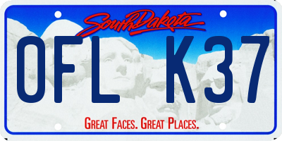 SD license plate 0FLK37