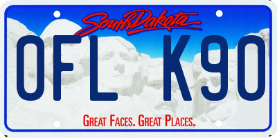 SD license plate 0FLK90