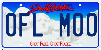 SD license plate 0FLM00