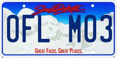 SD license plate 0FLM03