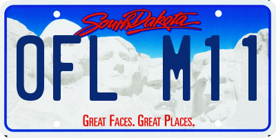 SD license plate 0FLM11