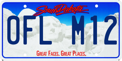 SD license plate 0FLM12