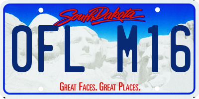 SD license plate 0FLM16