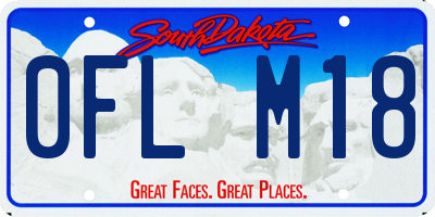 SD license plate 0FLM18