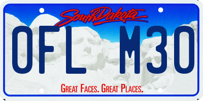 SD license plate 0FLM30