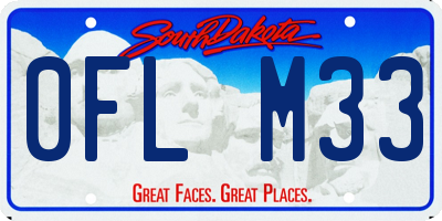 SD license plate 0FLM33