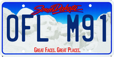 SD license plate 0FLM91