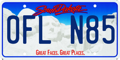 SD license plate 0FLN85