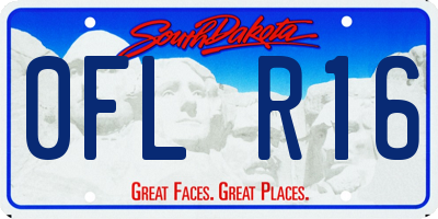 SD license plate 0FLR16