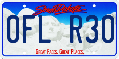 SD license plate 0FLR30