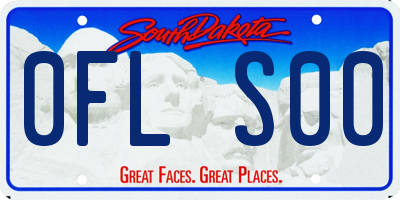 SD license plate 0FLS00