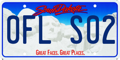 SD license plate 0FLS02