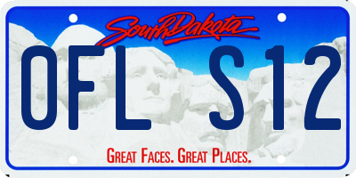 SD license plate 0FLS12
