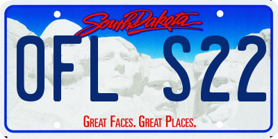 SD license plate 0FLS22