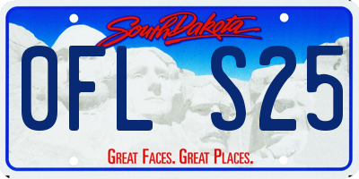 SD license plate 0FLS25