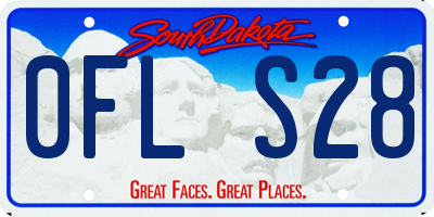 SD license plate 0FLS28