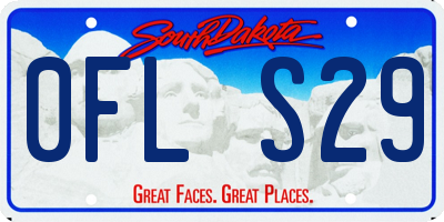 SD license plate 0FLS29