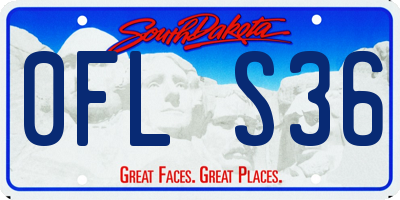 SD license plate 0FLS36