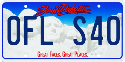SD license plate 0FLS40