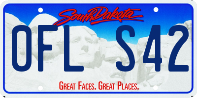 SD license plate 0FLS42