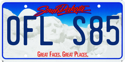 SD license plate 0FLS85
