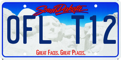 SD license plate 0FLT12