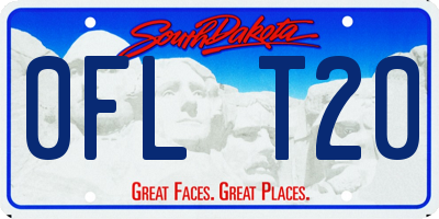 SD license plate 0FLT20